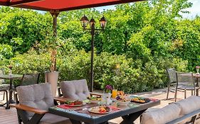 Ibis Bursa